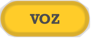 VOZ4