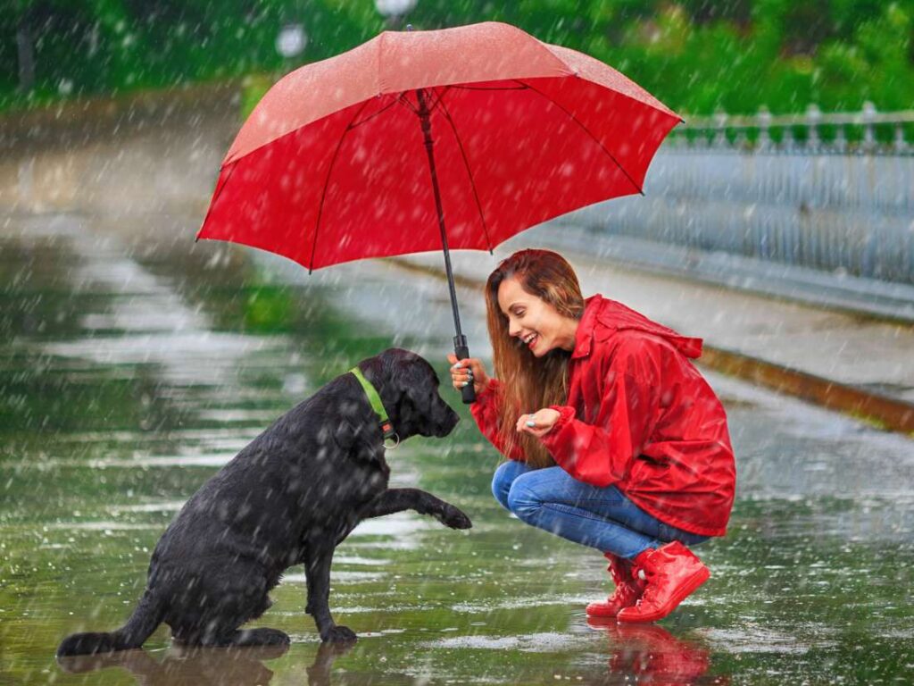 La lluvia y las emociones