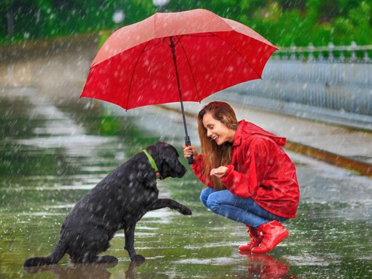 La lluvia y las emociones