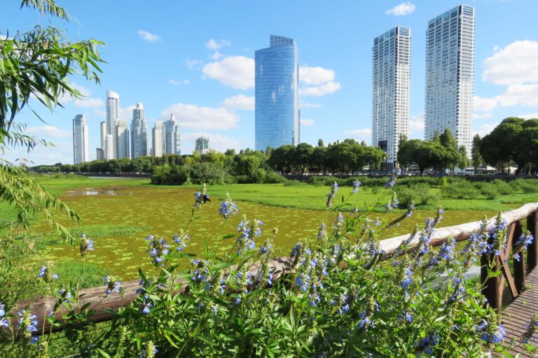 Reserva ecológica Costanera Sur