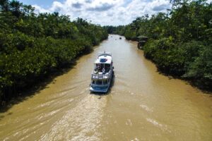 La tragedia del Río Amazonas