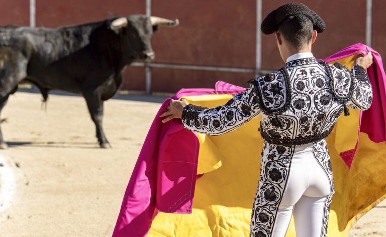 Soy taurino y solo exijo respeto