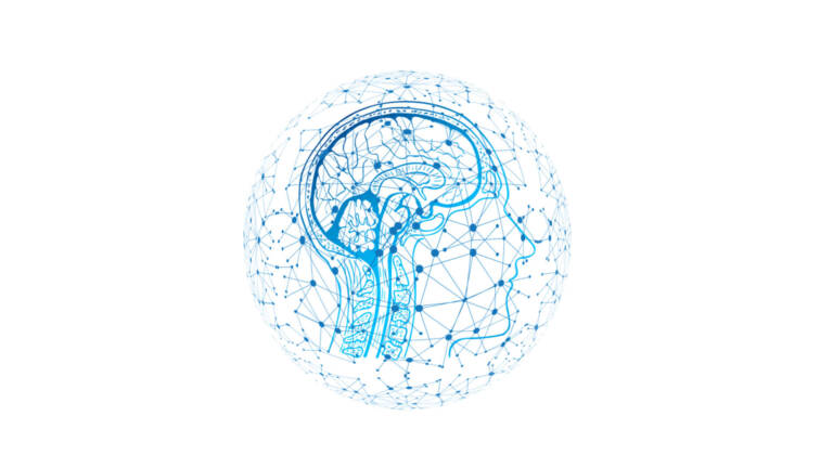Glándula Pineal: ¿culpable del envejecimiento?