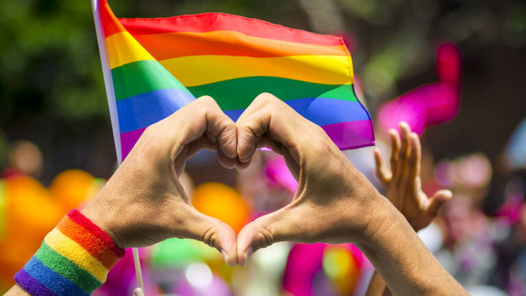 ¿Hay un solo modelo de homosexualidad?