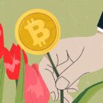 Historia de la primera burbuja económica