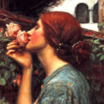 La rosa de Julieta