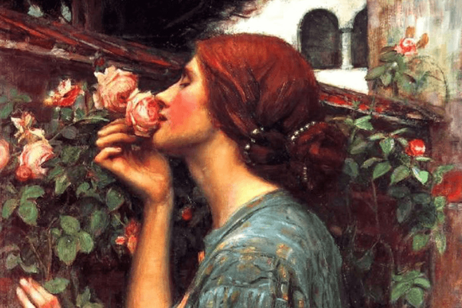 La rosa de Julieta