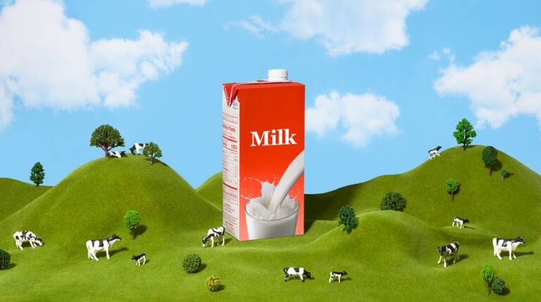 Leche: el superalimento que nutre cuerpos y Mentes – Descubre sus Beneficios en el Día Mundial de la Leche