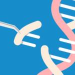 Las terapias CRISPR: ya es posible insertar un gen entero