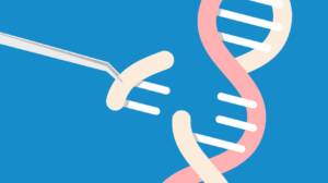 Las terapias CRISPR: ya es posible insertar un gen entero